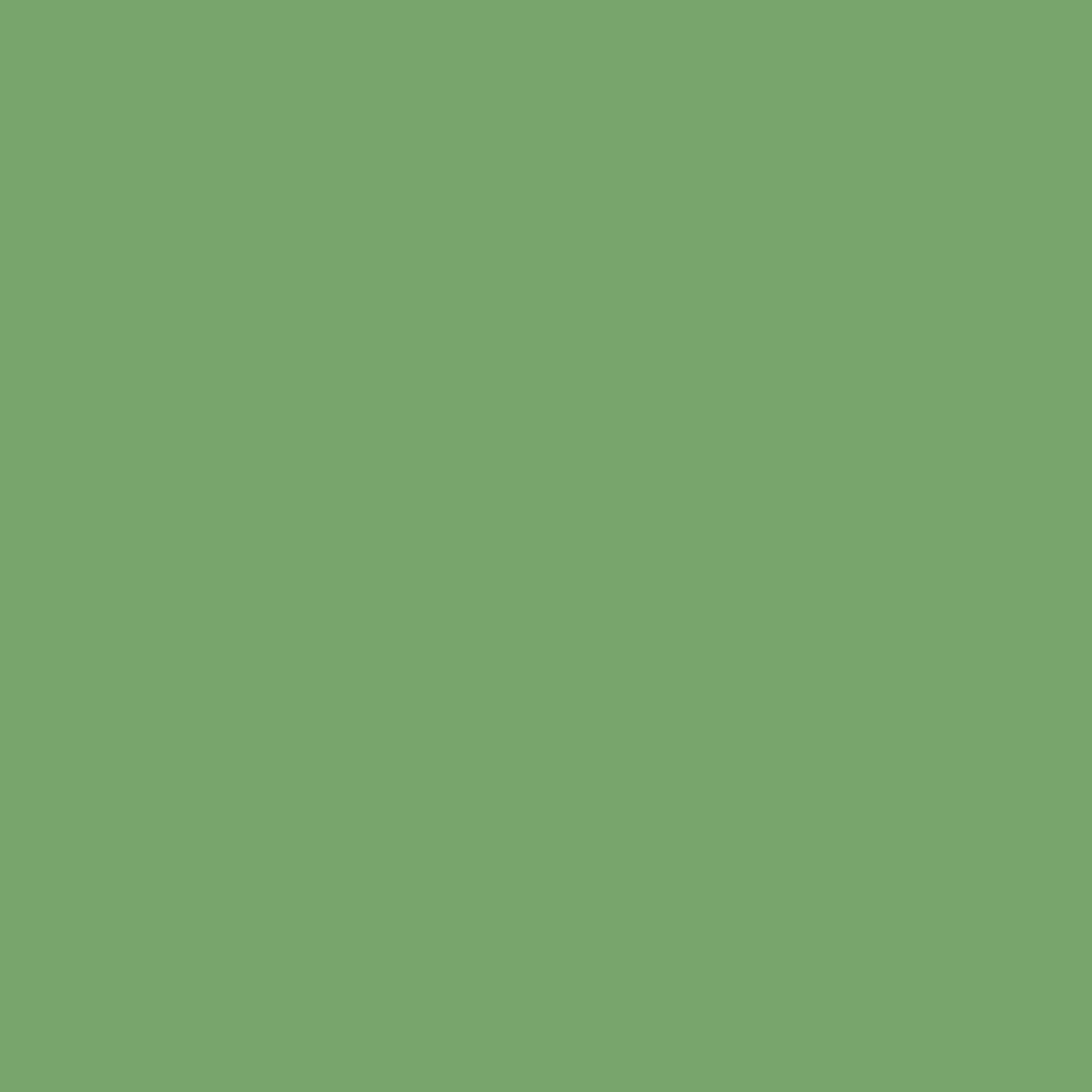 COLORE ACRILICO 50 ml FIN verde chiaro acrilici acrylic colours colori  finitura opaca - RomaLab
